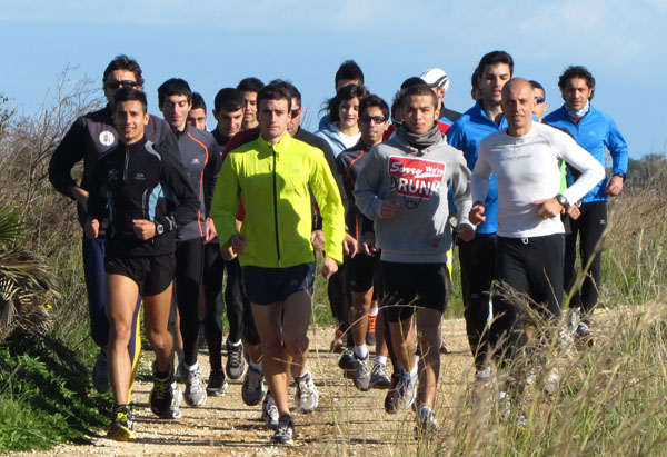 collegiale b